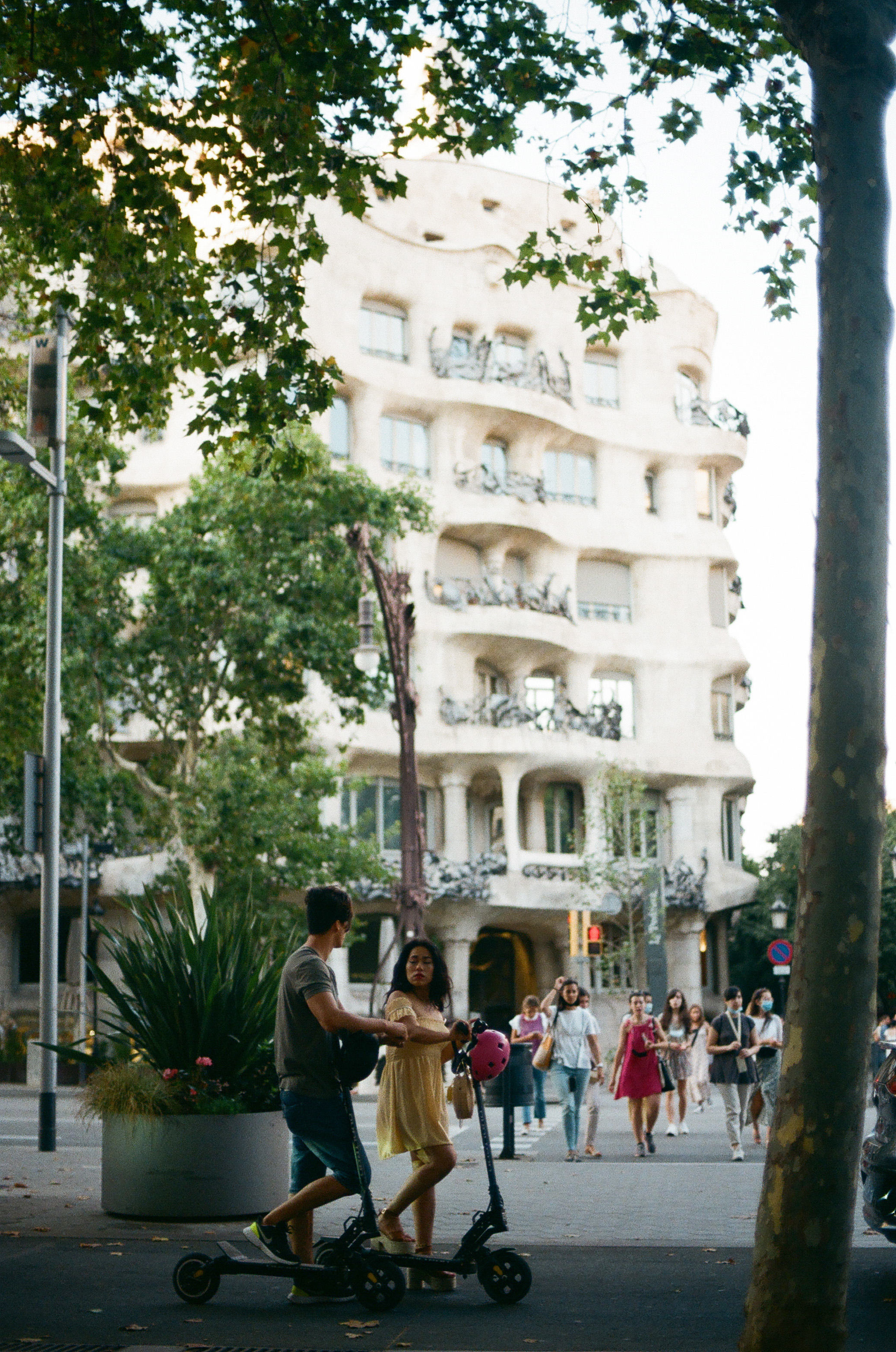 BCN16